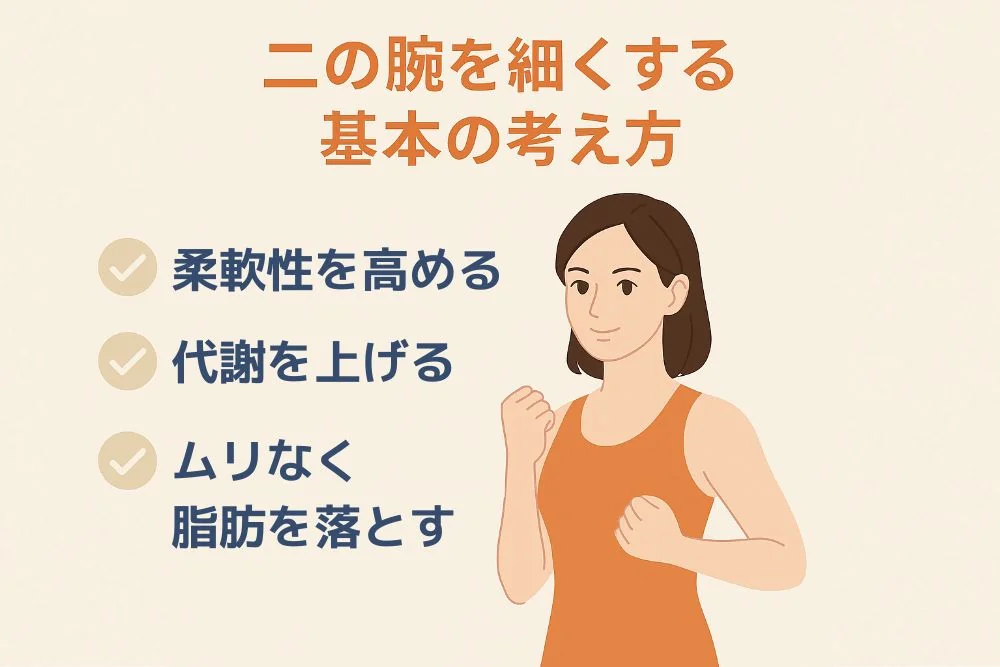二の腕を細くする基本の考え方｜柔軟性・代謝アップ・脂肪燃焼
