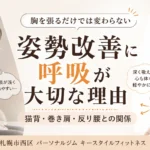 姿勢改善に呼吸が大切な理由を解説する猫背・巻き肩・反り腰のアイキャッチ画像