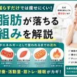 ダイエットで体脂肪が落ちる仕組みを分かりやすく解説したアイキャッチ画像